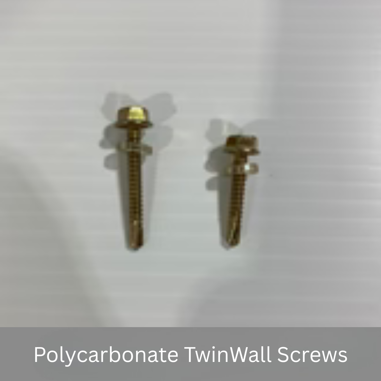 Polycarbonate Twin wall Screws and Washers (Neoprene Rubber)